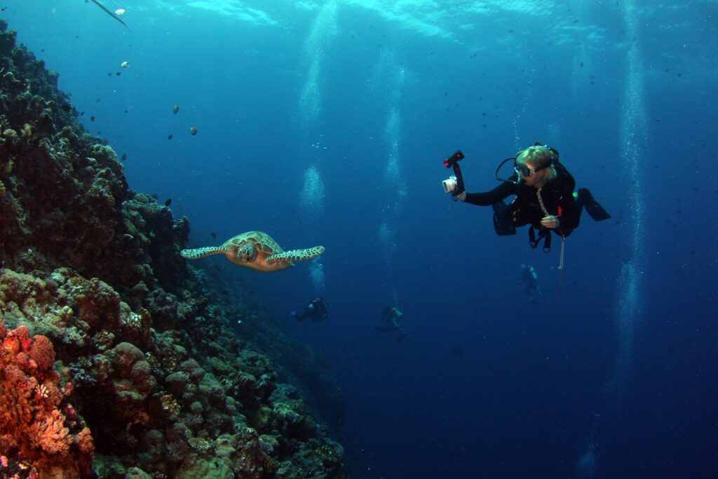 Scuba Diving in Goa